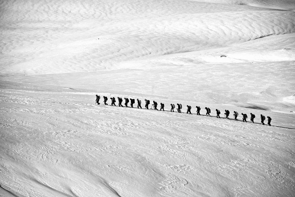 From Setback to Strength: How Unforeseen Challenges Help Us Build Resilience - Caleo Consulting