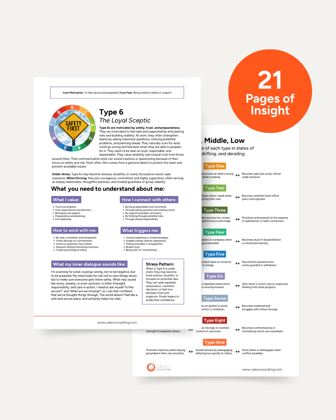 An Enneagram Handbook for Workplace Dynamics