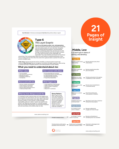 The Enneagram Handbook for Workplace Relationships