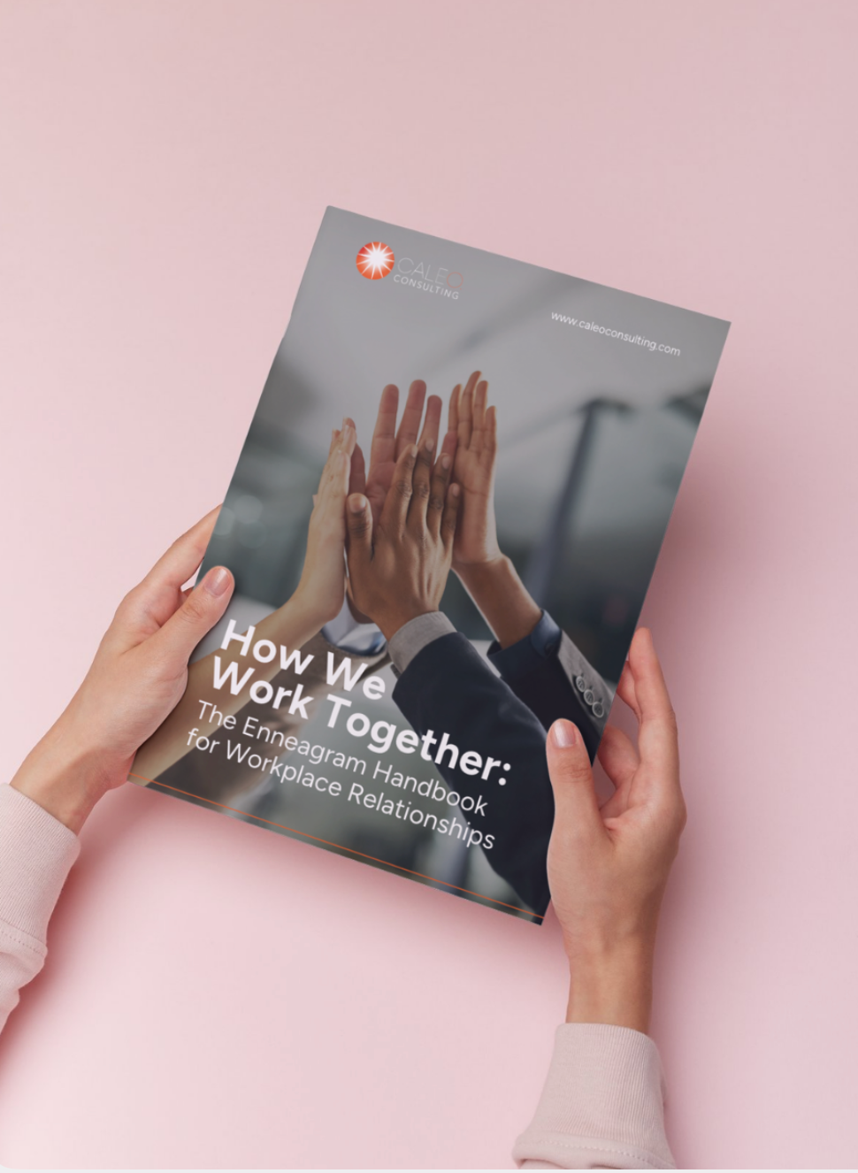 An Enneagram Handbook for Workplace Dynamics
